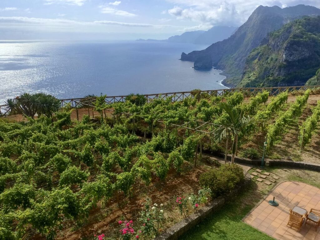 Vue sur les vignes et la mer de la chambre, hotel Quinta do Furao